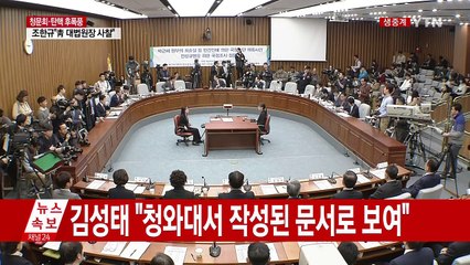 [청문회영상] 이석수 "재단 설립에 朴 관여 배제 못 해" / YTN (Yes! Top News)