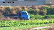 오리 최대 주산지 나주도 AI 비상...깊어지는 농민 시름 / YTN (Yes! Top News)