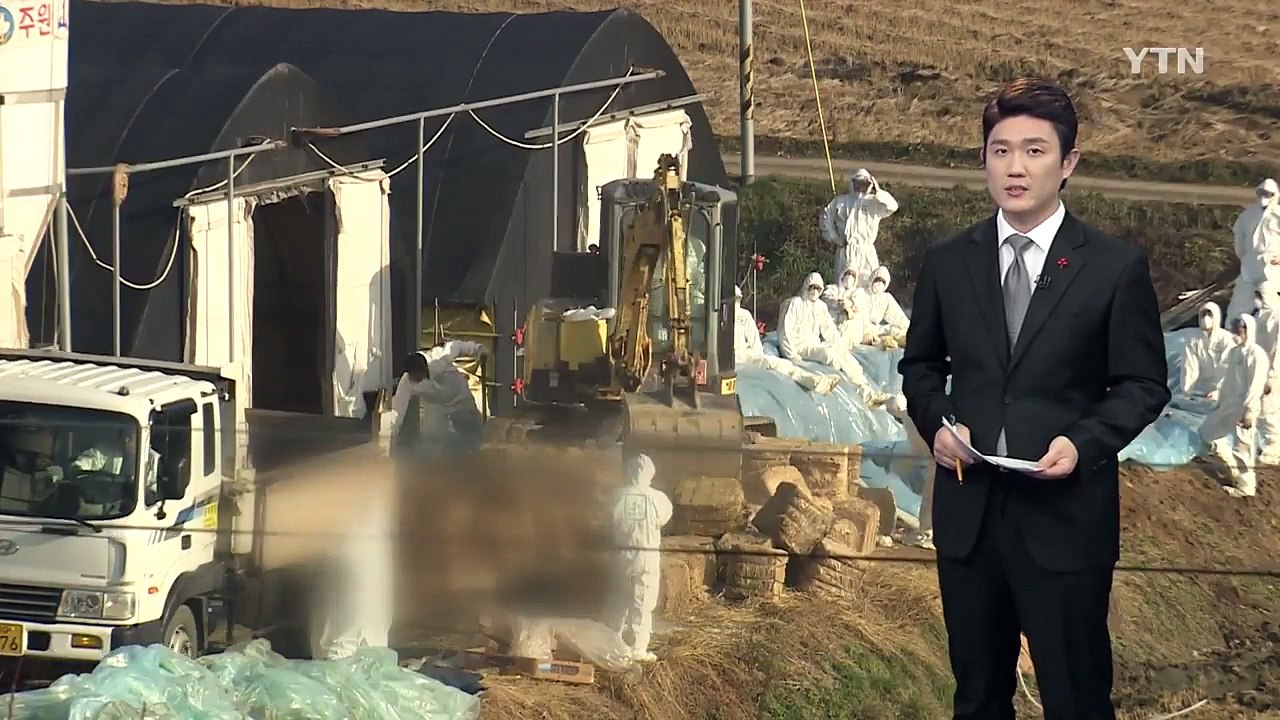 벌써 3번째 이동중지 명령...시름 깊은 농민 / YTN (Yes! Top News)