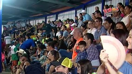 Micros Taurinos 7 Enero 2017