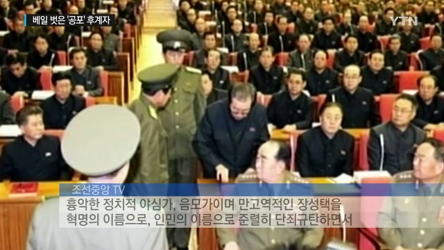 베일 벗은 후계자...김정은의 공포 통치 5년 / YTN (Yes! Top News)