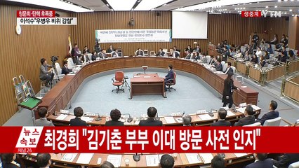 최순실 국정조사 4차 청문회 ⑫ / YTN (Yes! Top News)
