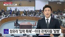 정유라 '입학 특혜'...이대 관계자들 시종일관 '발뺌' / YTN (Yes! Top News)
