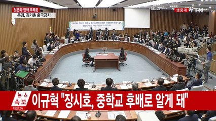 최순실 국정조사 4차 청문회 ⑨ / YTN (Yes! Top News)