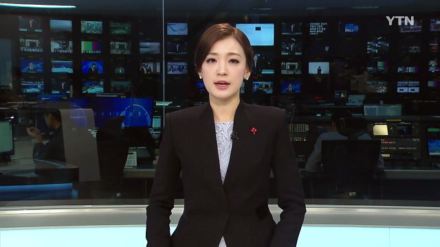 황교안 권한대행 중앙·지방 협력해 AI 종료까지 총력 다해야 / YTN (Yes! Top News)