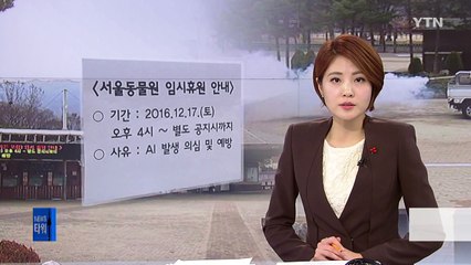 서울대공원 원앙도 AI...전체 조류 정밀검사 / YTN (Yes! Top News)