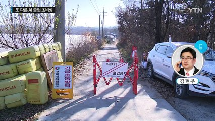 AI 발생 땐 500m 내 가금류·알 매몰 처분 / YTN (Yes! Top News)