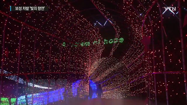 [영상] 보성 차밭 물들인 '빛의 향연' / YTN (Yes! Top News)