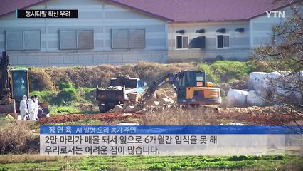 동시다발 AI 확산...새 유형 바이러스 'H5N8'도 검출 / YTN (Yes! Top News)