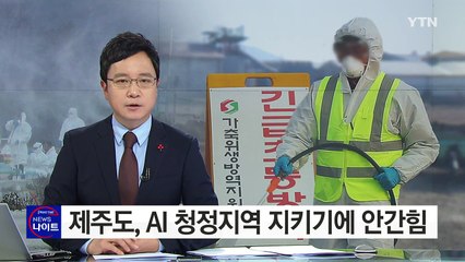 제주도, AI 청정지역 지키기에 안간힘 / YTN (Yes! Top News)