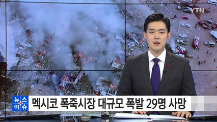 멕시코 폭죽시장 대규모 폭발 29명 사망 / YTN (Yes! Top News)