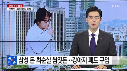 삼성 돈은 최순실 쌈짓돈...강아지 패드도 구입 / YTN (Yes! Top News)
