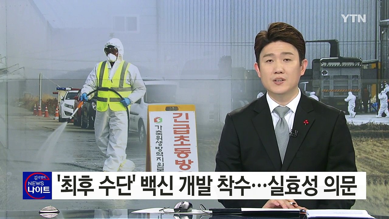 최악의 AI 사태...정부 '최후 수단' 백신 개발 착수 / YTN (Yes! Top...