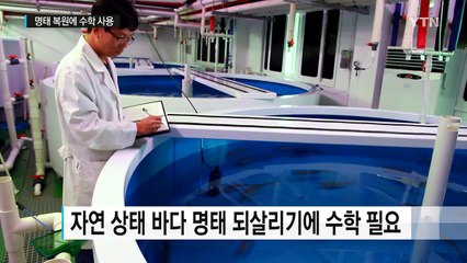 명태 복원에 수학이?...산업 수학의 세계 / YTN (Yes! Top News)