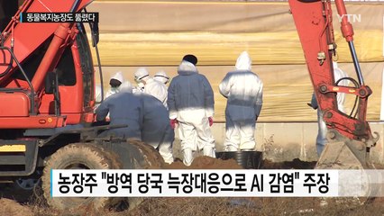 '최후의 안전지대' 동물복지농장도 뚫려...늑장 방역 논란 / YTN (Yes! Top News)