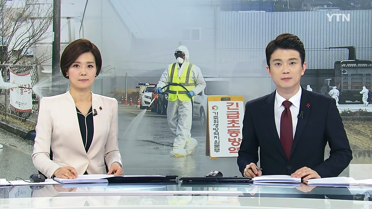 최악의 AI 사태...정부 '최후 수단' 백신 개발 착수 / YTN (Yes! Top...