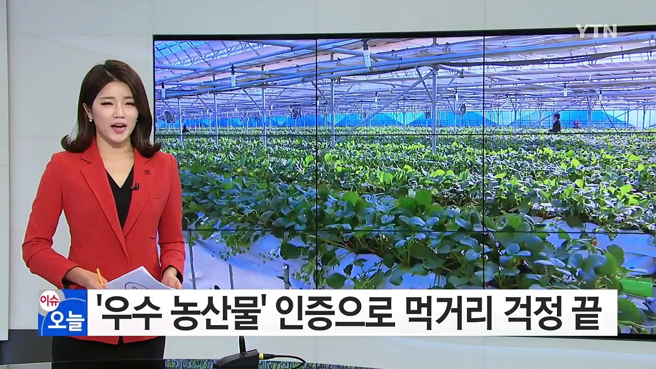 '우수 농산물' 인증으로 먹거리 걱정 끝 / YTN (Yes! Top News)