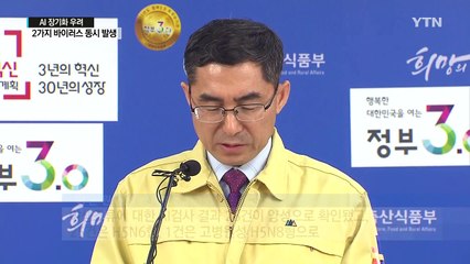 새 AI 유형도 고병원성 확진...잠복기 더 길어 / YTN (Yes! Top News)