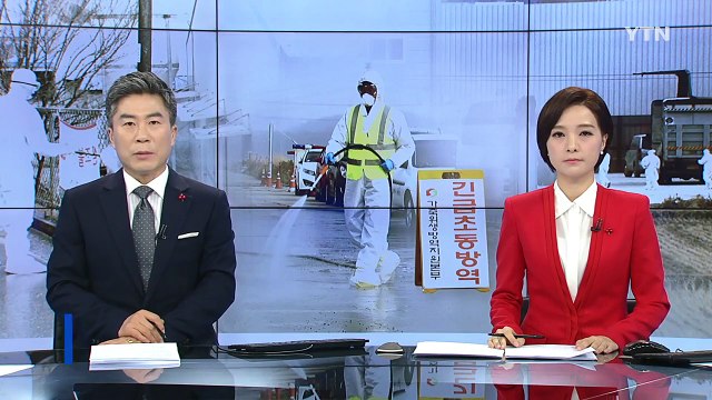 오락가락 정부 대책 AI 피해 키웠다 / YTN (Yes! Top News)