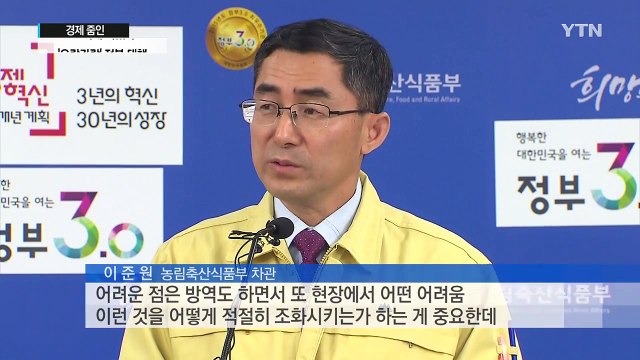 [쏙쏙] 오락가락 정부 대책 피해 키웠다 / YTN (Yes! Top News)