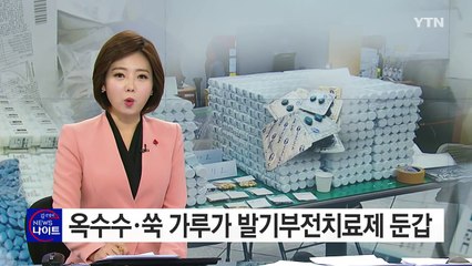 '옥수수 가루·쑥 분말까지"...가짜 발기부전치료제 유통 / YTN (Yes! Top News)