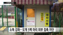 천연기념물 '연산 오계' 농장, AI 방역 안간힘 / YTN (Yes! Top News)