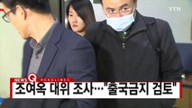 [YTN 실시간뉴스] 특검, 정호성 소환 조사…김종 재소환 / YTN (Yes! Top News)