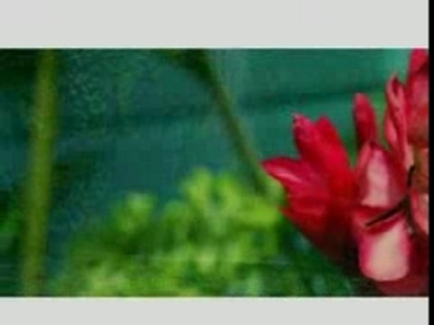 Princess Lover - Mon soleil