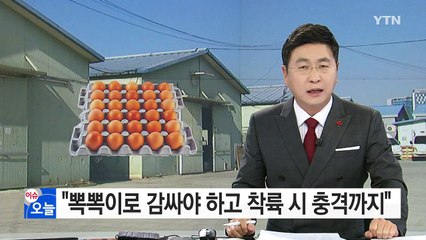 "뽁뽁이로 감싸"...달걀 수입 실효성 논란 / YTN (Yes! Top News)