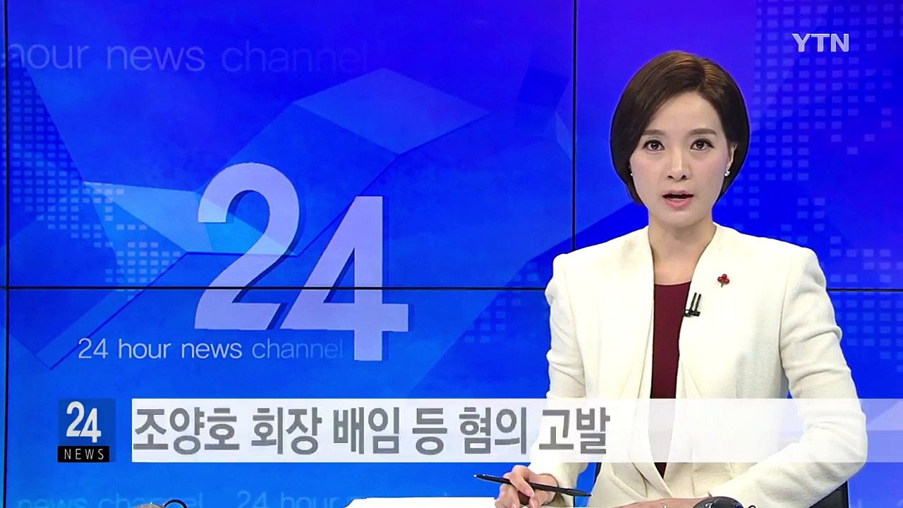 참여연대, 조양호 회장 배임 등 혐의로 고발 / YTN (Yes! Top News)