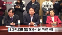신당 단숨에 원내교섭단체...초대 원내대표 TK 주호영 / YTN (Yes! Top News)