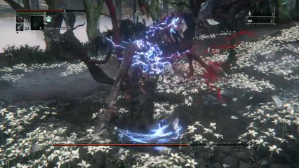 Bloodborne Moon Presence