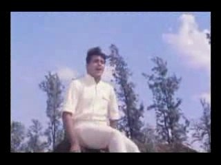 Tauba Yeh Matwali Chaal