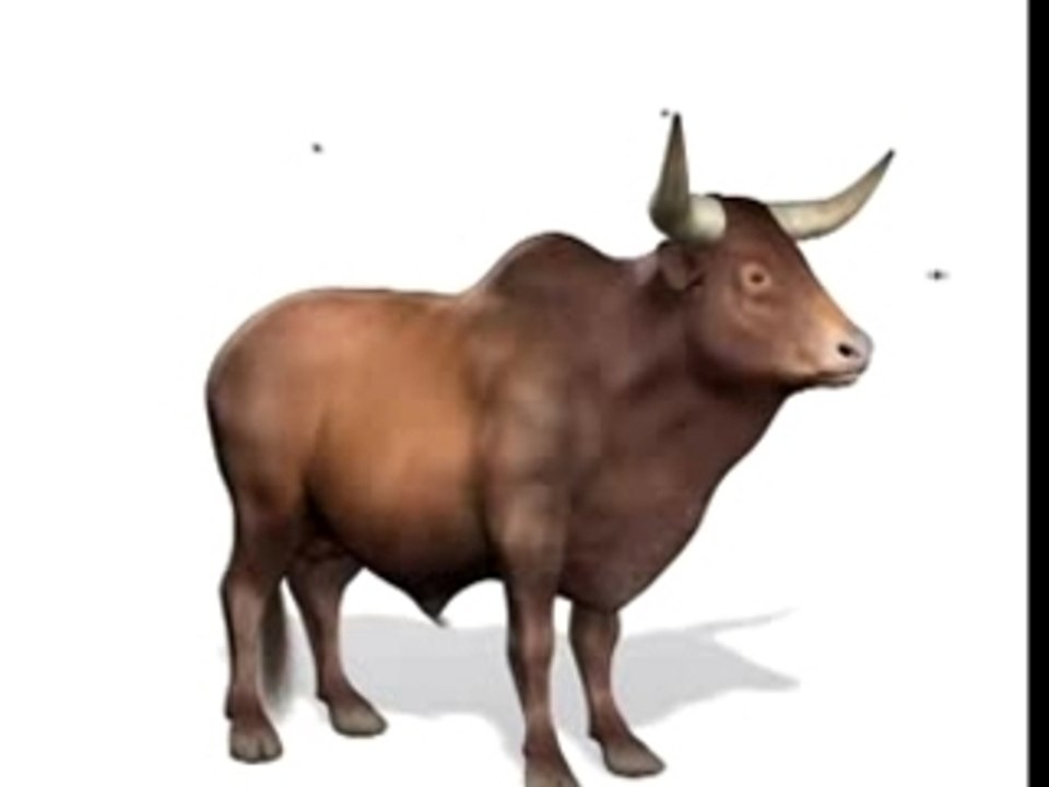 Zebu en 3D animé
