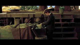 Fantastic Beasts and Where to Find Them _ official international trailer (2016) Eddie Redmayne-XMyQ3F2jyb8