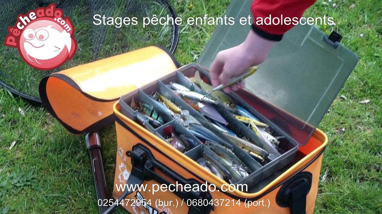 Pêche du brochet aux leurres