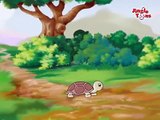 Kachhua aur Khargosh - 'Hare & Tortoise' story in Hindi Animation by Jingle Toons (कछुआ और खरगोश)-NXeg9scUF6E