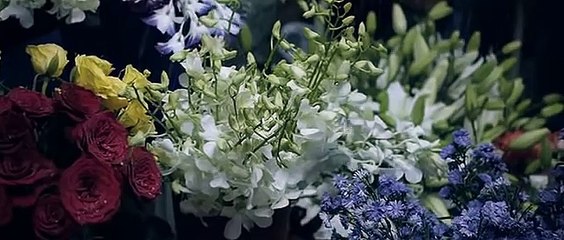 Mere rehnuma full song from movie Rocky Handsome