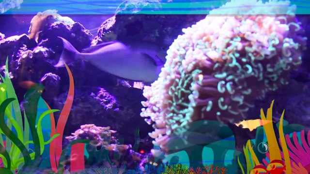 I'm A Fish _ Children, Kids and Toddlers Songs _ Learn to Swim _ Swim back stroke _ Patty Shukla-p1eNpDXEvp8