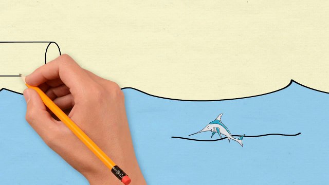 The Problems and Causes of Ocean Pollution