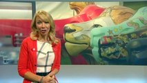 BBC One Breakfast coverage of Gromit Unleashed project announcement-1tqY83TY0PE