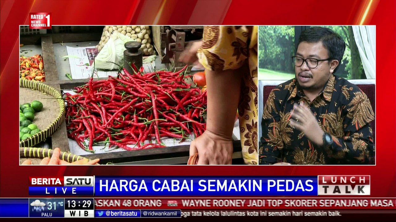 Lunch Talk: Harga Cabai Semakin Pedas # 2