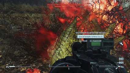 Fallout 4_20170108070113 CASCA GROSSA!