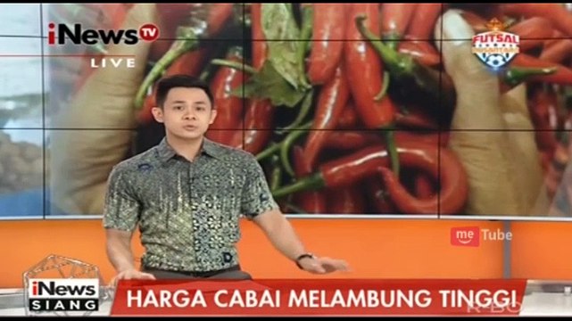Gagal Panen, Jadi Penyebab Harga Cabai Melambung Tinggi