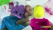 SURPRISE EGGS Toys Learn animals and Spell words with ABC SURPRISES