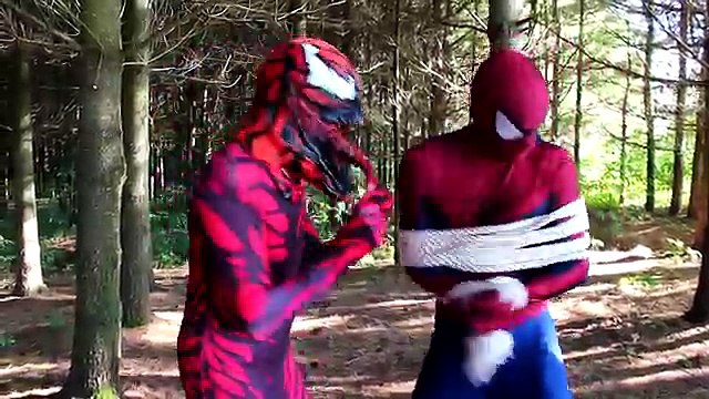 Frozen Elsa Bitten by VAMPIRE! w/ Spiderman Hulk Joker Pink Spidergirl Mini elsa Toys! Sup