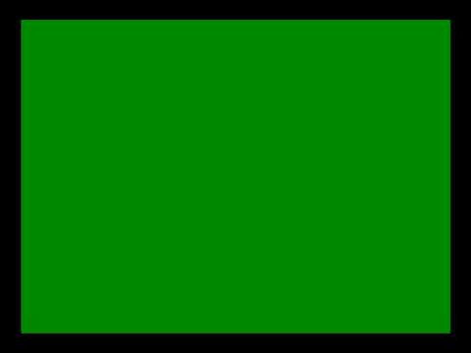 Business 24 Salon Banques Assurances Meso Microfinances Bank`Assur 2016