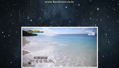 [CODSOFTtotosolution]17년경력프로그래머 24시간직원항시대기 스포츠toto솔루션