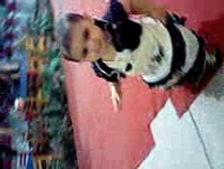 Funny Videos,  Happy Babay