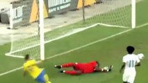 Wilfried Kanon own goal - Sweden 1-0 Ivory Coast (International Friendly Match)  08-01-2017 (HD)